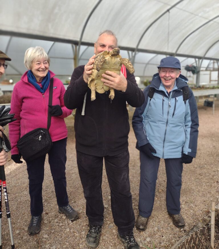 Stroll around ~Woodbank park. Meet Harry the tortoise